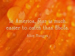 In-America-fear-is-much