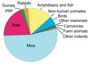 An estimated 26 million animals are used every year in the U.S. as test subjects for scientific and commercial testing. Out of that mice, rats, rabbits, amphibians and fish, birds, guinea pigs, carnivores, farm animals, other rodents, other mammals, and non-human primates are used.