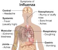 The Canine influenza, an outbreak in the midwest has caused a panic in many dog owners. Im scared for my pets. If it starts to spread I dont think I could bare to see them sick.. Pet owner Peter Lawrence said.