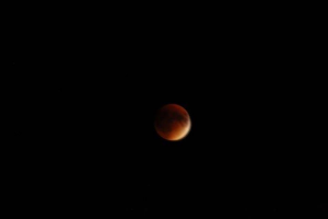 A picture of the blood moon during its eclipse. This is the last lunar eclipse of 2015. Picture taken by William Torres.