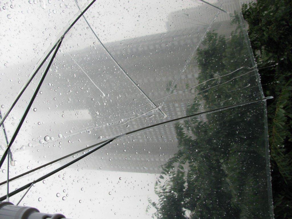 Clear+Umbrella+with+rain+drops