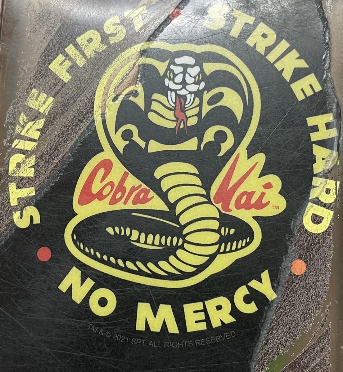 Cobra Kai Recap