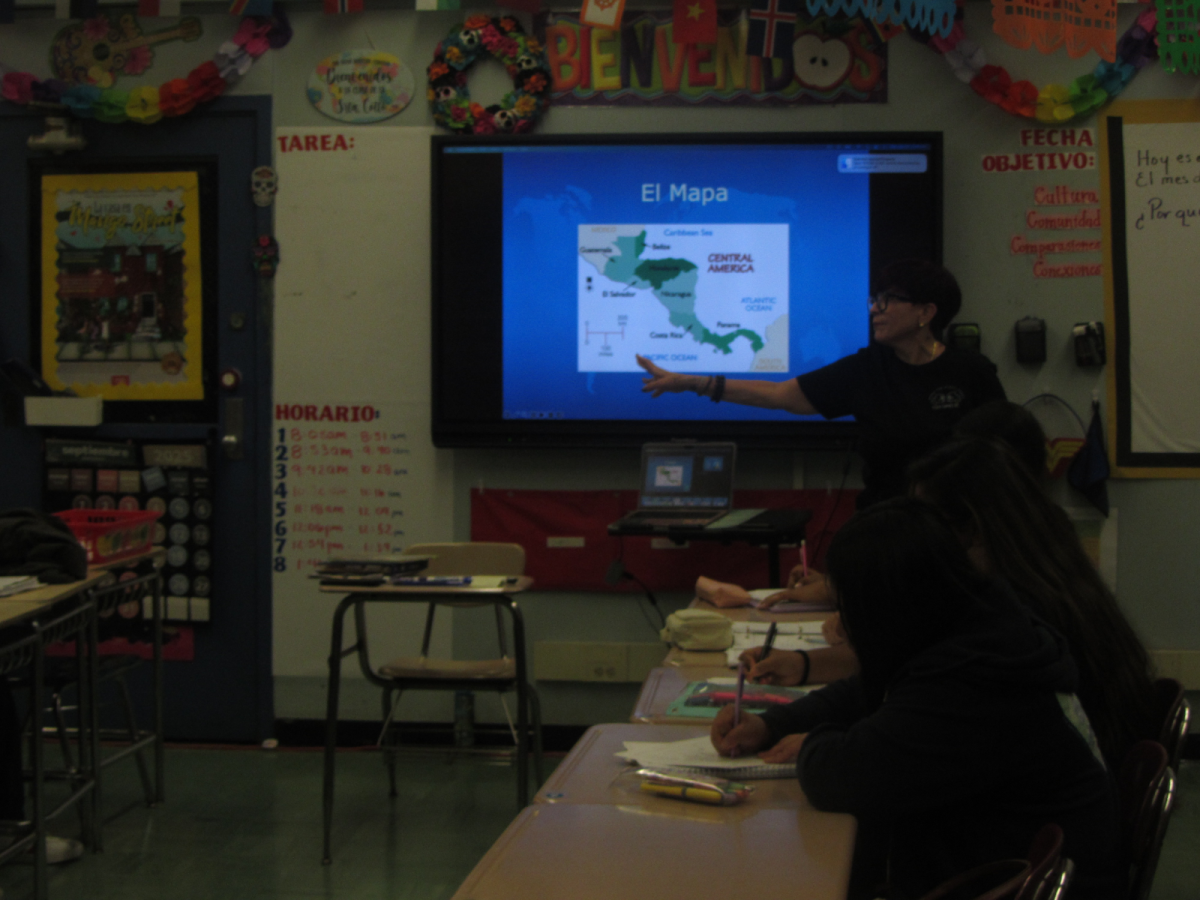 Introducing AP Spanish