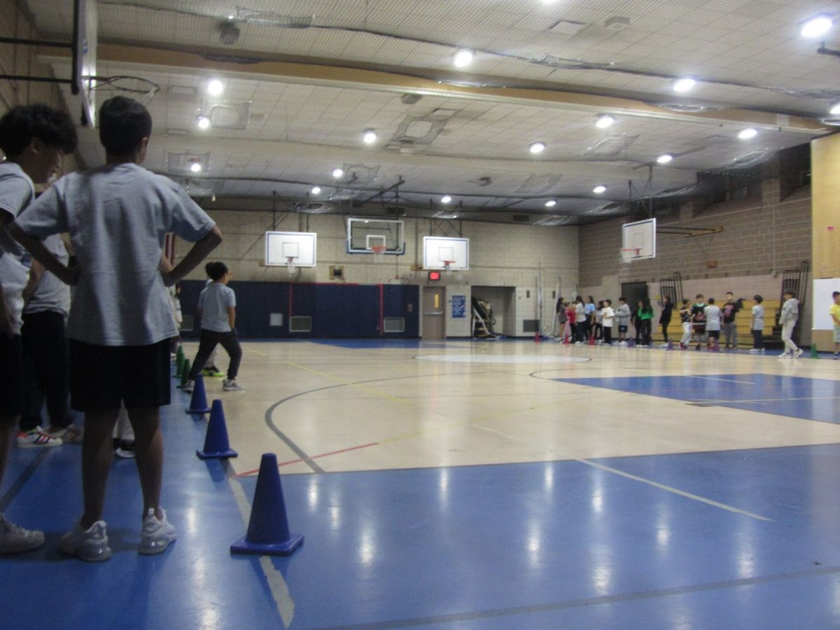 Physical Education is Back